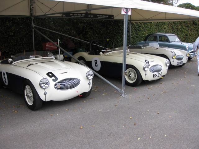 Name:  209_0918_142 Healey.JPG
Views: 959
Size:  98.9 KB