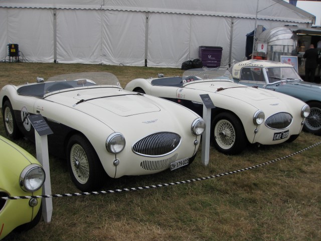 Name:  209_0918_342 Healey.JPG
Views: 1103
Size:  97.1 KB