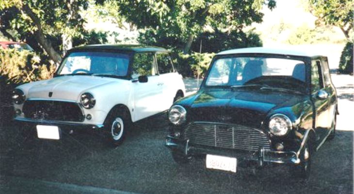 Name:  Minis in the driveway_0004.jpg
Views: 859
Size:  78.0 KB