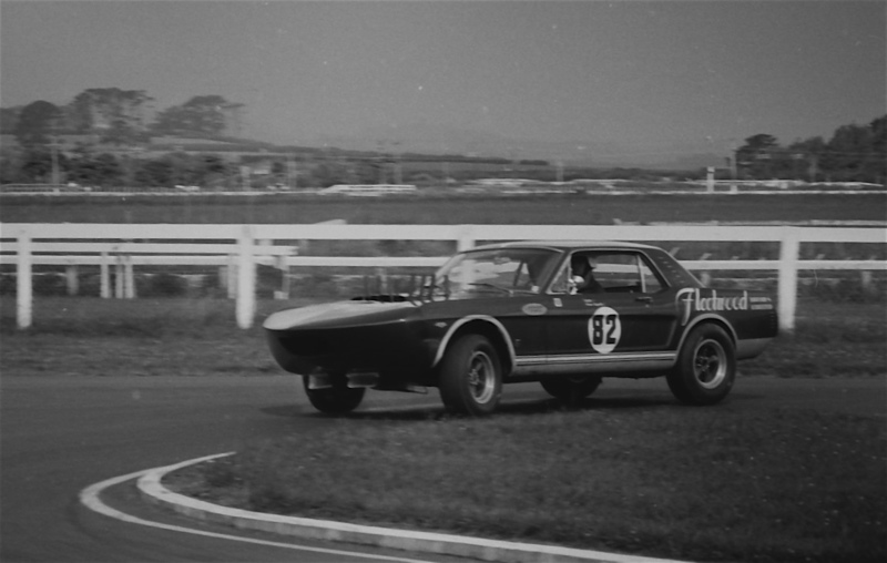 Name:  Fleetwood Mustang 66 - David Mckinney.jpg
Views: 1454
Size:  110.0 KB