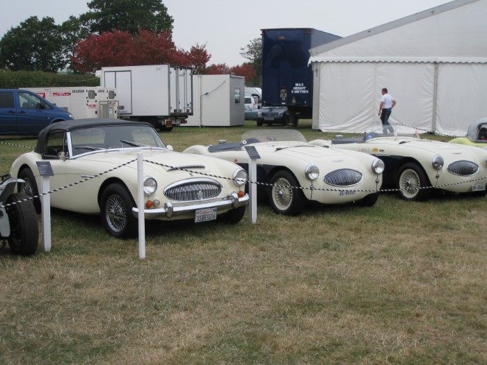 Name:  AH 100S #11 S's at Goodwood 2009 Ray Green .jpg
Views: 419
Size:  117.0 KB