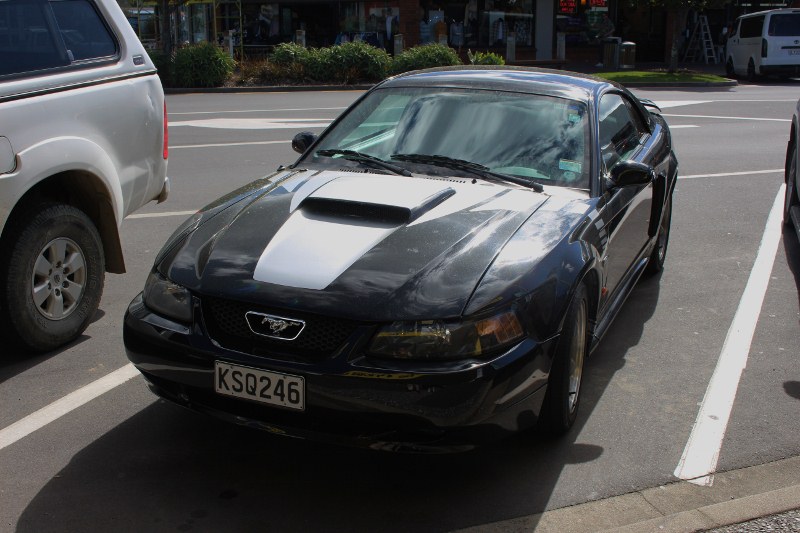 Name:  Cars #50 Mustang 2018_08_19_0527 (800x533).jpg
Views: 858
Size:  131.6 KB