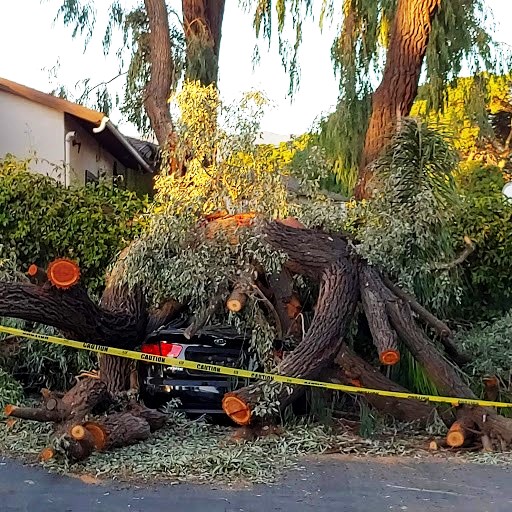 Name:  Parking lot damage. Goleta. California..jpg
Views: 881
Size:  134.1 KB