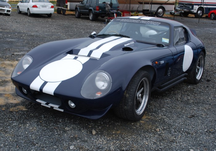 Name:  211_0122_039 Cobra r.JPG
Views: 724
Size:  138.3 KB