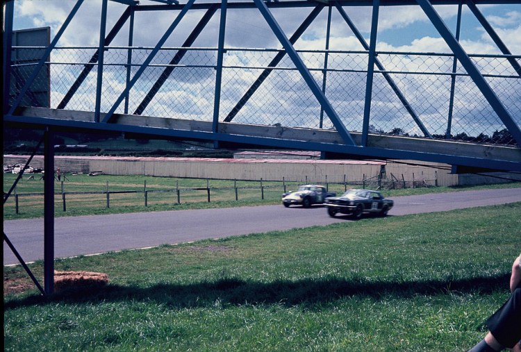 Name:  Pukekohe 1965 #0070 FLeetwood Mustang and Daimler SP 250 under Dunlop Gold Leaf 3 hr Q Ian Tille.jpg
Views: 715
Size:  174.8 KB