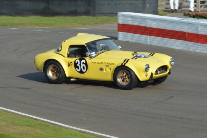 Name:  221_0917_1450 AC Cobra.JPG
Views: 559
Size:  108.4 KB