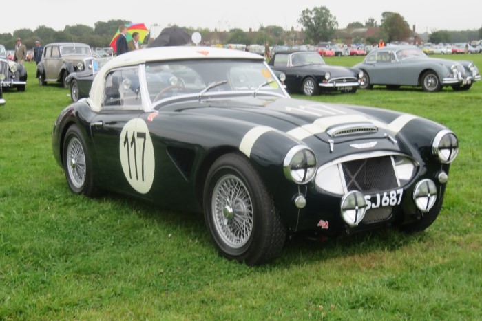 Name:  221_0919_0252 Austin Healey.JPG
Views: 519
Size:  105.9 KB