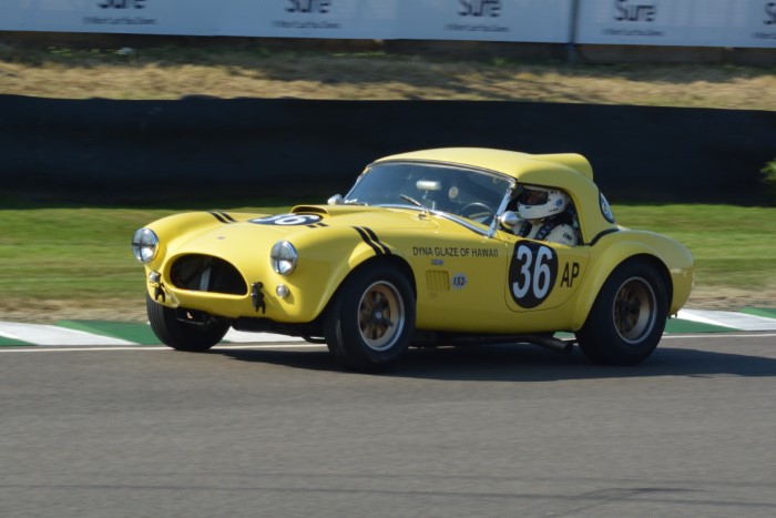 Name:  221_0918_0706 AC Cobra.JPG
Views: 354
Size:  107.5 KB