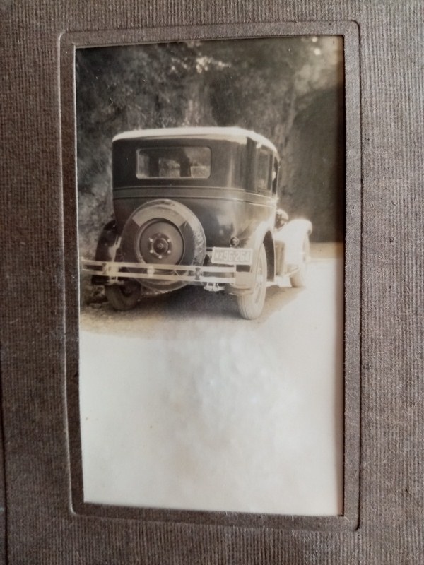 Name:  Family #288 Nash 1925 - 26 plates Aunty Dolly - Uncle Frank rear (600x800).jpg
Views: 929
Size:  126.5 KB