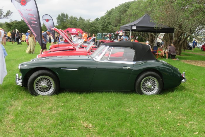 Name:  223_0305_112 Austin Healey.JPG
Views: 354
Size:  133.2 KB