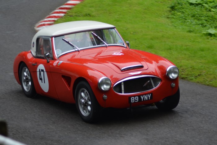 Name:  223_0722_158 Austin healey.JPG
Views: 337
Size:  117.5 KB