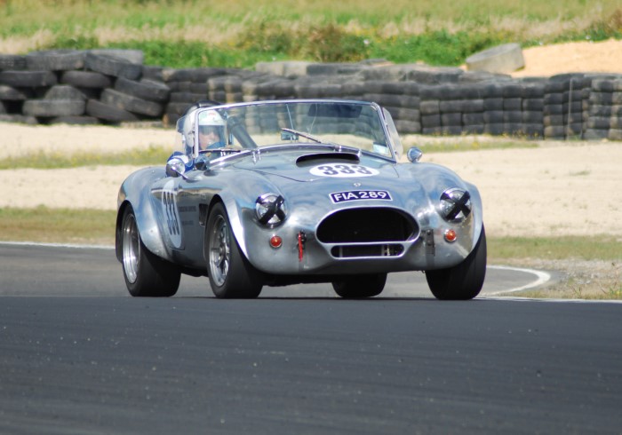 Name:  210_0116_029b Olsen Cobra.JPG
Views: 271
Size:  79.8 KB