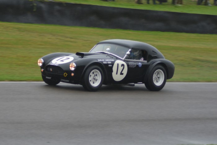 Name:  224_0906_1037 AC Cobra.JPG
Views: 64
Size:  88.8 KB